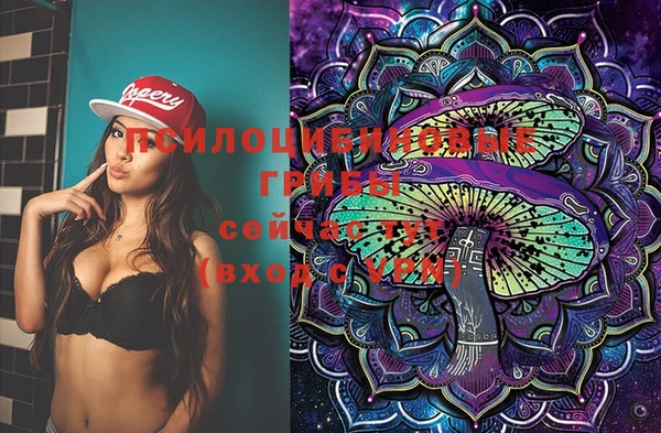 шишки Зеленокумск